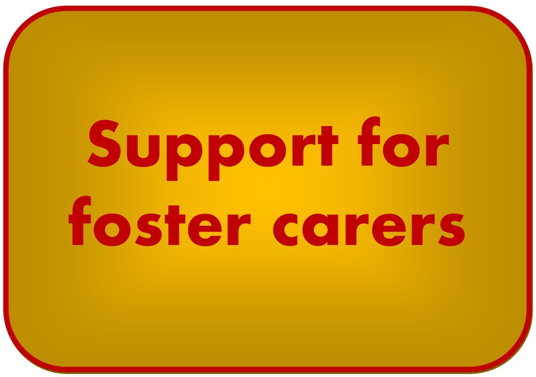 support for foster carers button