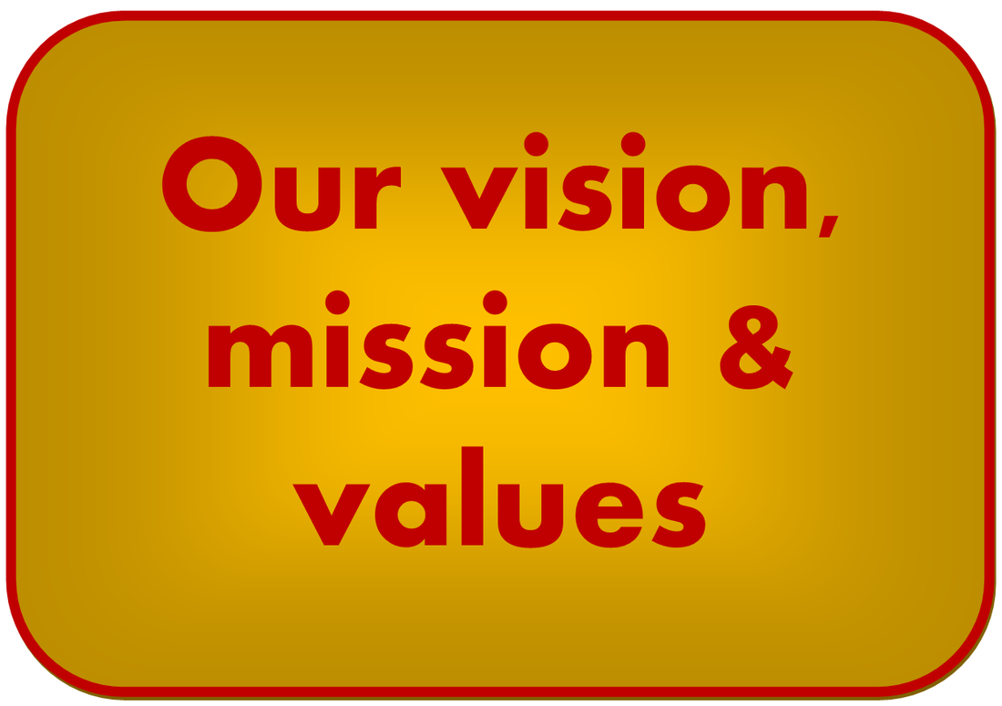 our vision mission and values button