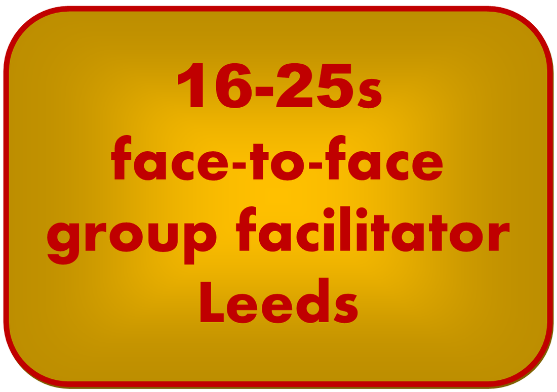 16-25s face to face group facilitator Leeds vacancy button