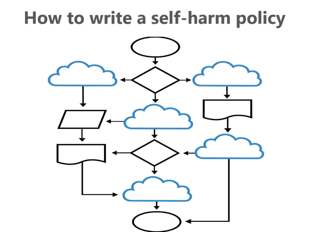 how to write a self-harm policy organisations schools private company