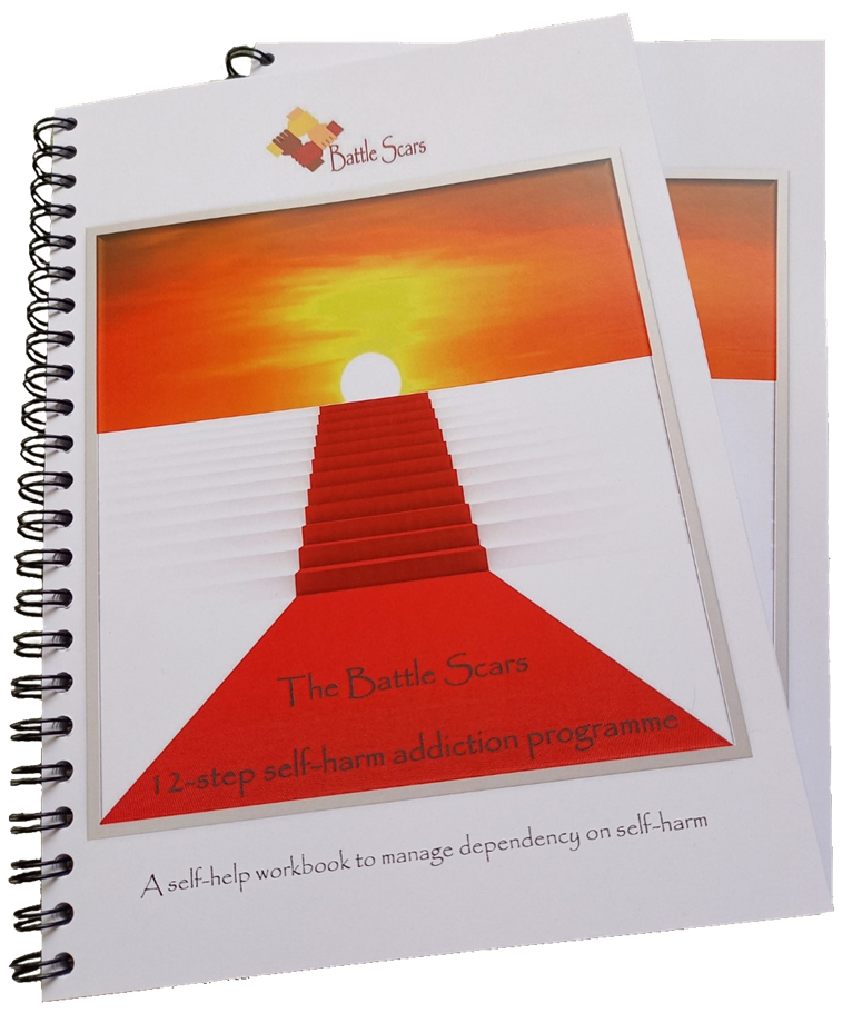 2 copies of the spiral bound addiction workbook showing front cover of stairs leading to a sunrise 